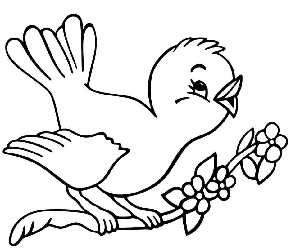 Dibujo gratuito Aves #175003 de la coleccion Animales para imprimir Dibujo gratuito Aves #175003 de la coleccion Animales para imprimir