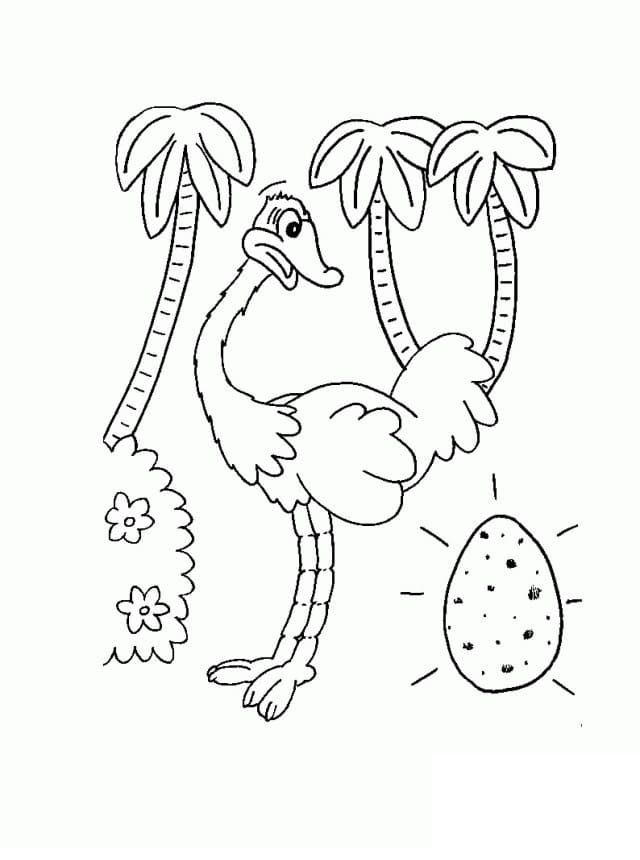 Dibujo gratuito Avestruz #204548 de la coleccion Animales para imprimir