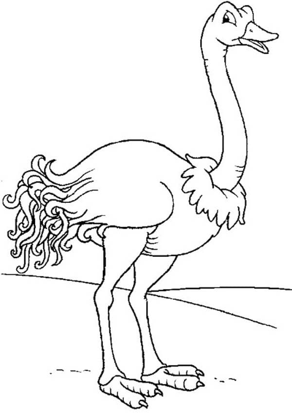 Dibujo gratuito Avestruz #204561 de la coleccion Animales para imprimir