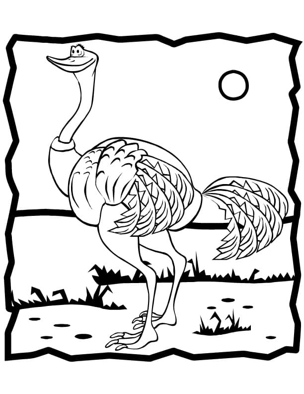 Dibujo gratuito Avestruz #204565 de la coleccion Animales para imprimir