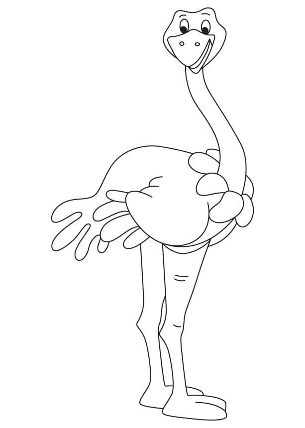 Dibujo gratuito Avestruz #204566 de la coleccion Animales para imprimir