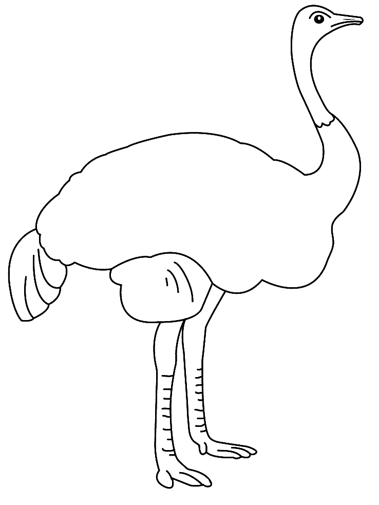 Dibujo para colorear: Avestruz (Animales) #679 - Dibujos para Colorear e Imprimir Gratis