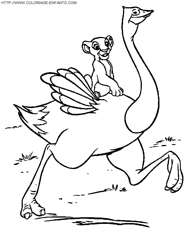 Dibujo para colorear: Avestruz (Animales) #737 - Dibujos para colorear