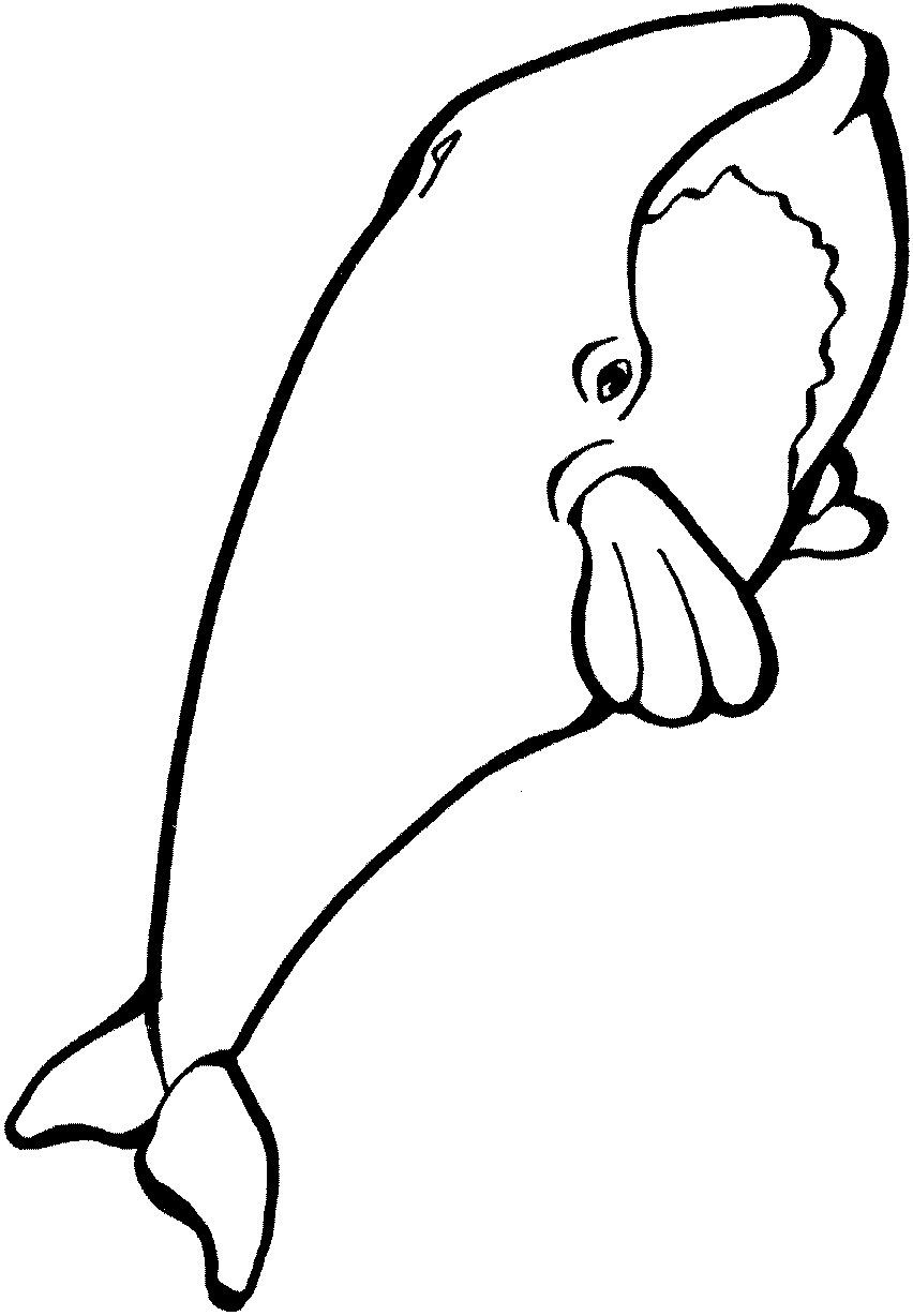 Dibujo para colorear: Ballena (Animales) #880 - Dibujos para colorear