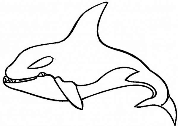 Dibujo para colorear: Ballena (Animales) #941 - Dibujos para colorear