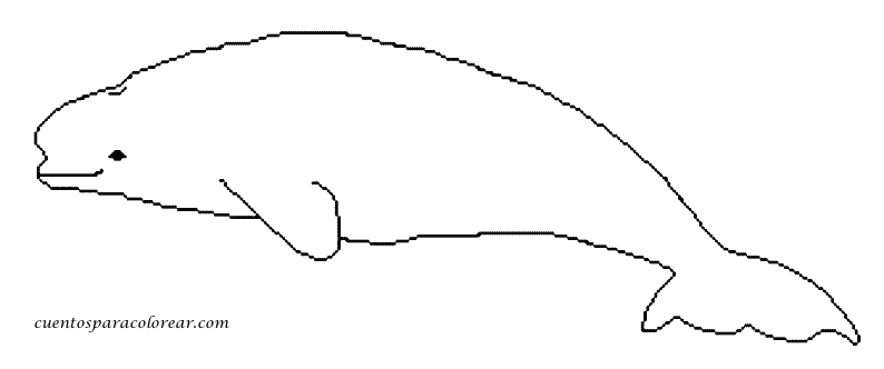 Dibujo para colorear: Beluga (Animales) #1063 - Dibujos para colorear