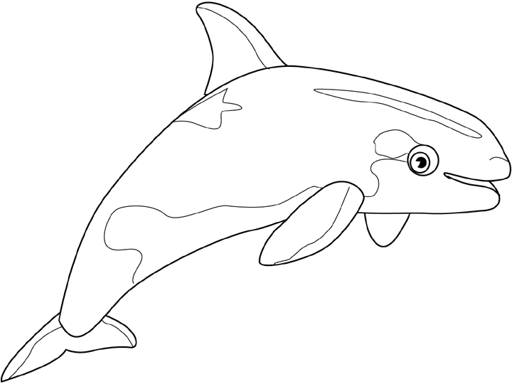 Dibujo para colorear: Beluga (Animales) #1073 - Dibujos para Colorear e Imprimir Gratis