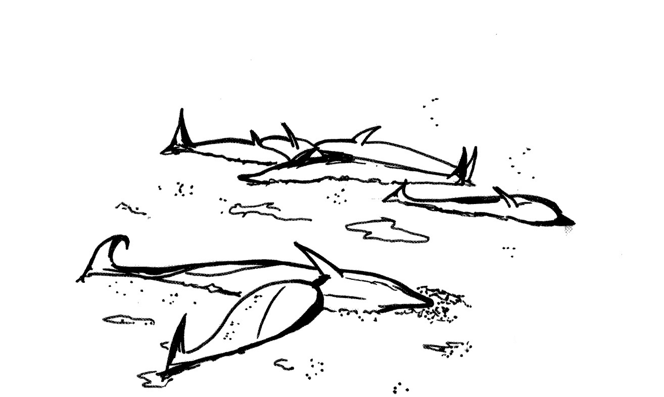 Dibujo para colorear: Beluga (Animales) #1079 - Dibujos para colorear
