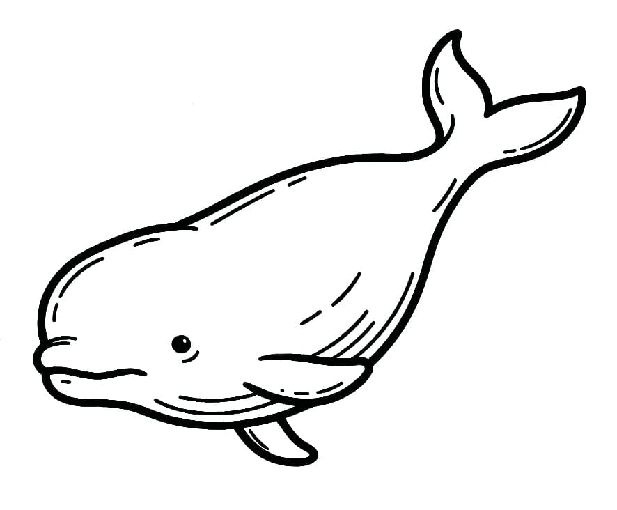 Dibujo gratuito Beluga #210344 de la coleccion Animales para imprimir