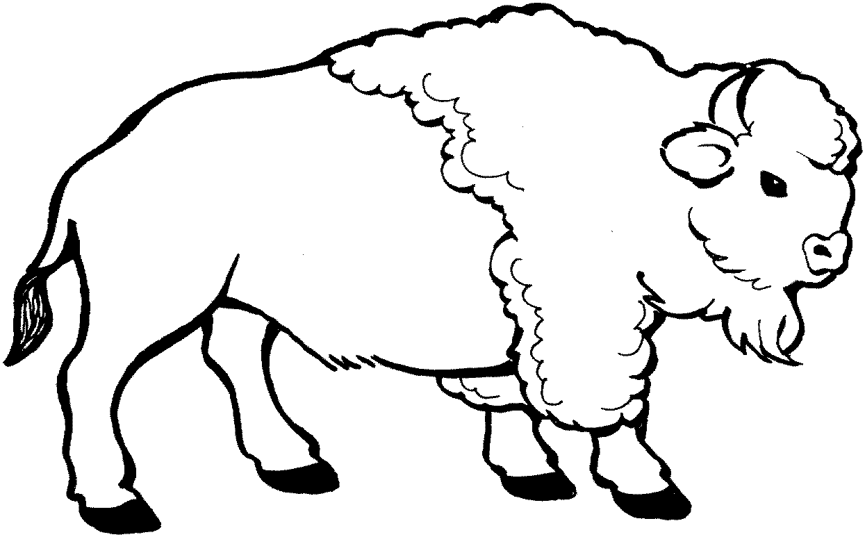 Dibujo para colorear: Bisonte (Animales) #1195 - Dibujos para colorear