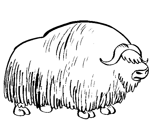 Dibujo para colorear: Bisonte (Animales) #1200 - Dibujos para colorear