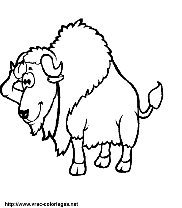 Dibujo para colorear: Bisonte (Animales) #1203 - Dibujos para colorear