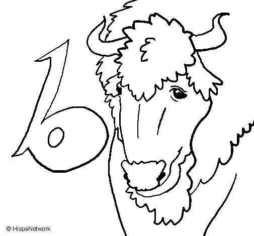 Dibujo para colorear: Bisonte (Animales) #1223 - Dibujos para colorear