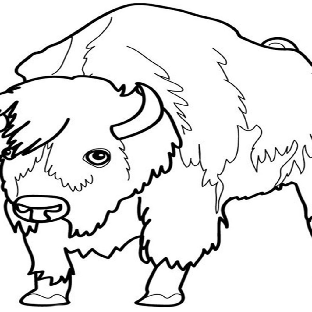Dibujo para colorear: Bisonte (Animales) #1252 - Dibujos para Colorear e Imprimir Gratis