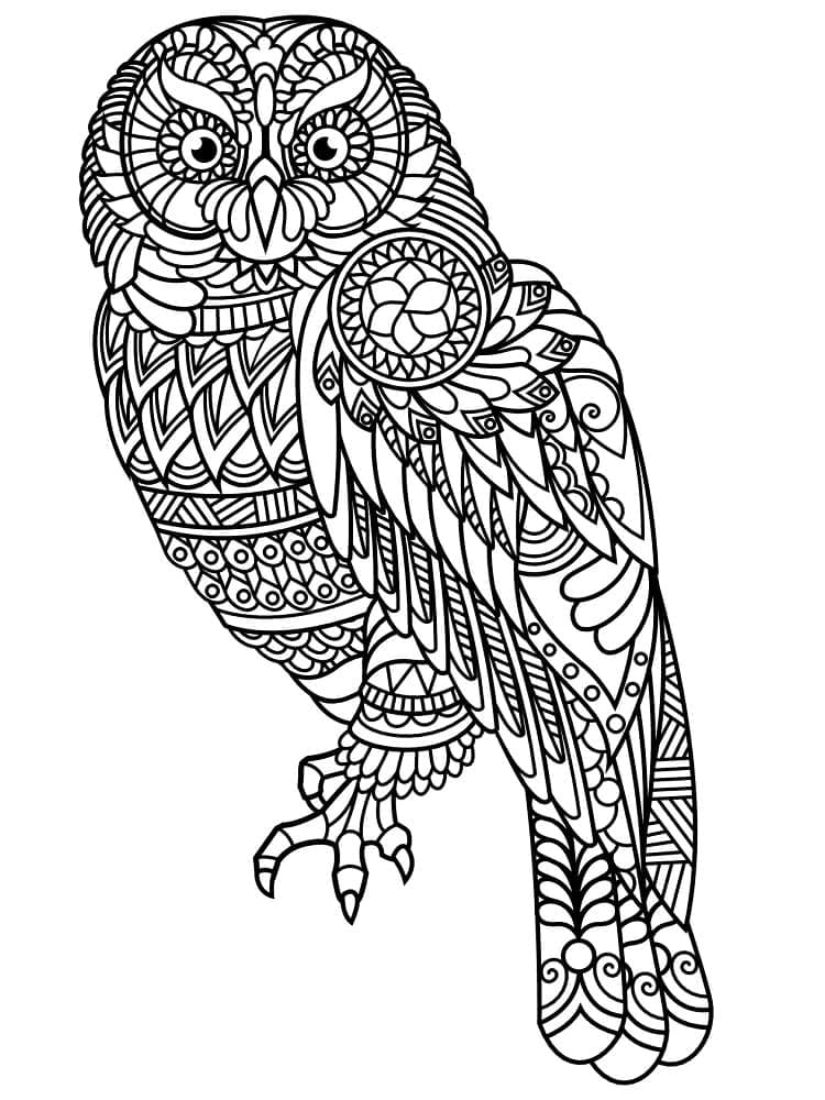 Dibujo gratuito Búho #178804 de la coleccion Animales para imprimir