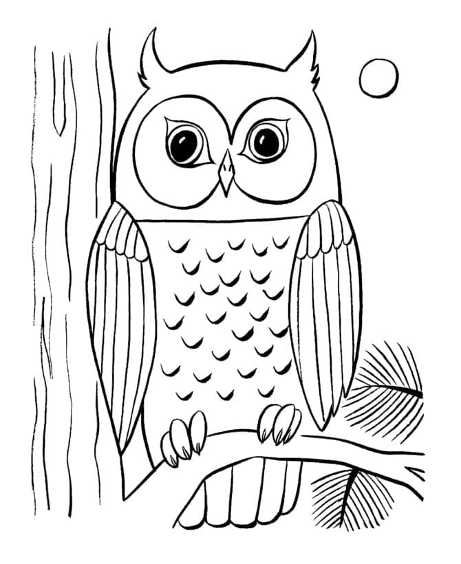 Dibujo gratuito Búho #178806 de la coleccion Animales para imprimir
