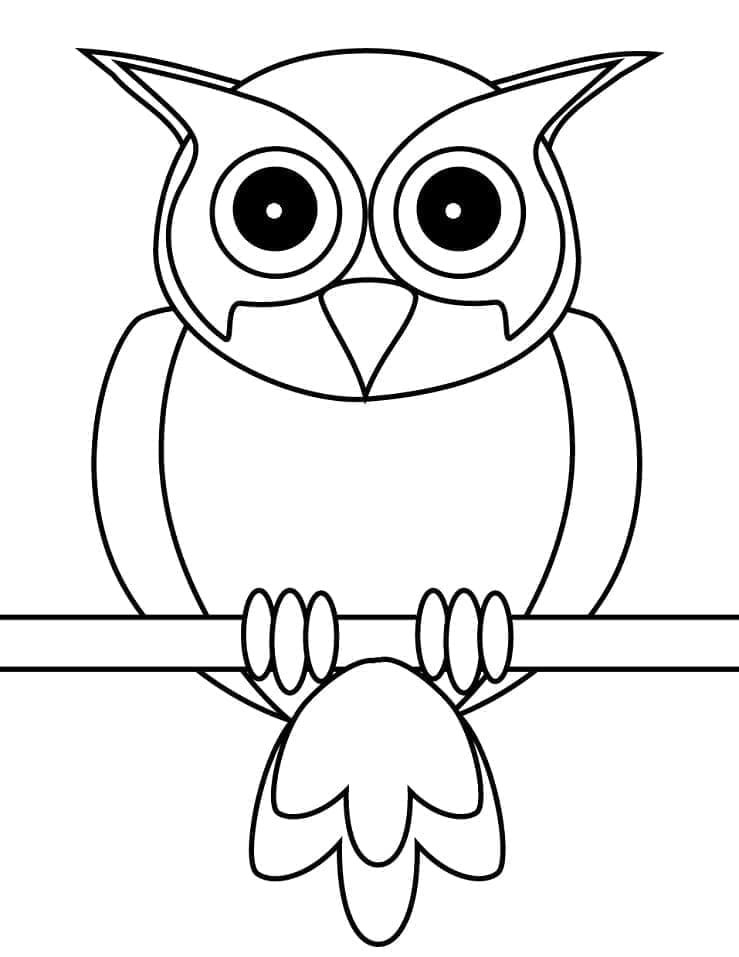 Dibujo gratuito Búho #178820 de la coleccion Animales para imprimir