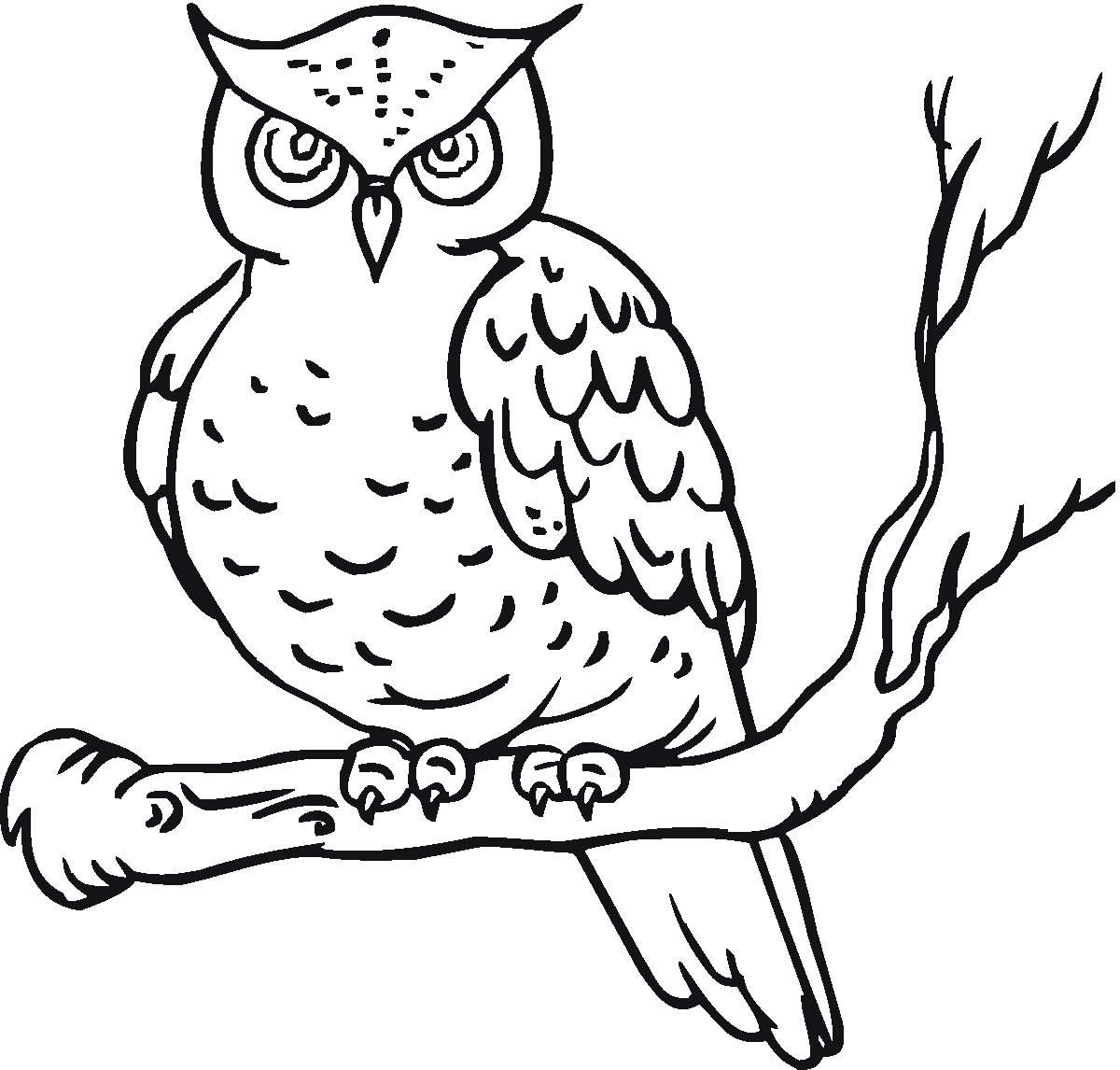 Dibujo para colorear: Búho (Animales) #8411 - Dibujos para Colorear e Imprimir Gratis