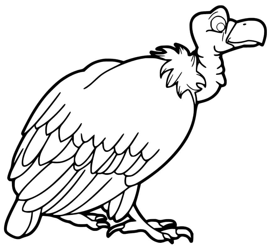 Dibujo gratuito Buitre #205312 de la coleccion Animales para imprimir