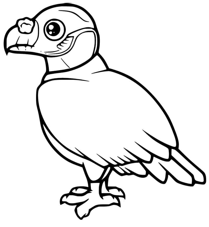 Dibujo gratuito Buitre #205316 de la coleccion Animales para imprimir