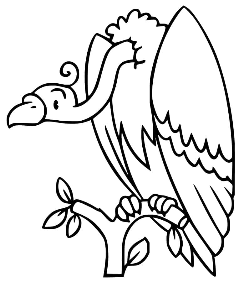 Dibujo gratuito Buitre #205339 de la coleccion Animales para imprimir Dibujo gratuito Buitre #205339 de la coleccion Animales para imprimir