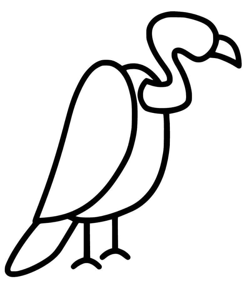 Dibujo gratuito Buitre #205349 de la coleccion Animales para imprimir Dibujo gratuito Buitre #205349 de la coleccion Animales para imprimir