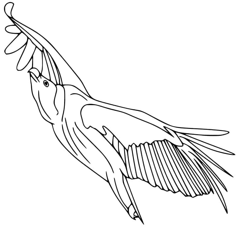 Dibujo gratuito Buitre #205350 de la coleccion Animales para imprimir