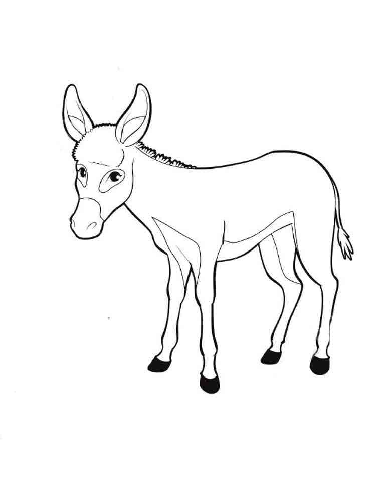 Dibujo gratuito Burro #197834 de la coleccion Animales para imprimir