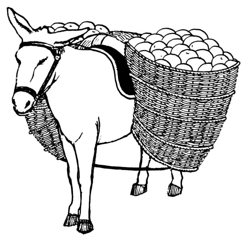 Dibujo gratuito Burro #197888 de la coleccion Animales para imprimir Dibujo gratuito Burro #197888 de la coleccion Animales para imprimir