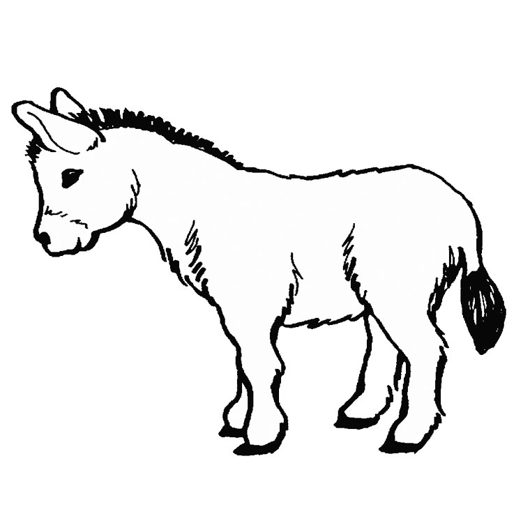 Dibujo para colorear: Burro (Animales) #484 - Dibujos para colorear