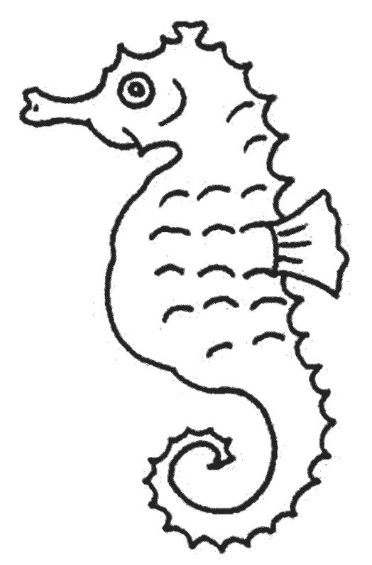 Dibujo para colorear: Caballito de mar (Animales) #18608 - Dibujos para colorear