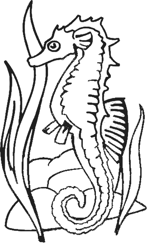 Dibujo para colorear: Caballito de mar (Animales) #18632 - Dibujos para colorear