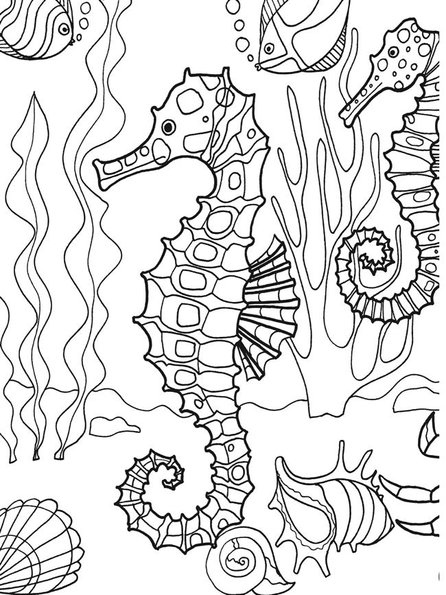 Dibujo para colorear: Caballito de mar (Animales) #18718 - Dibujos para colorear