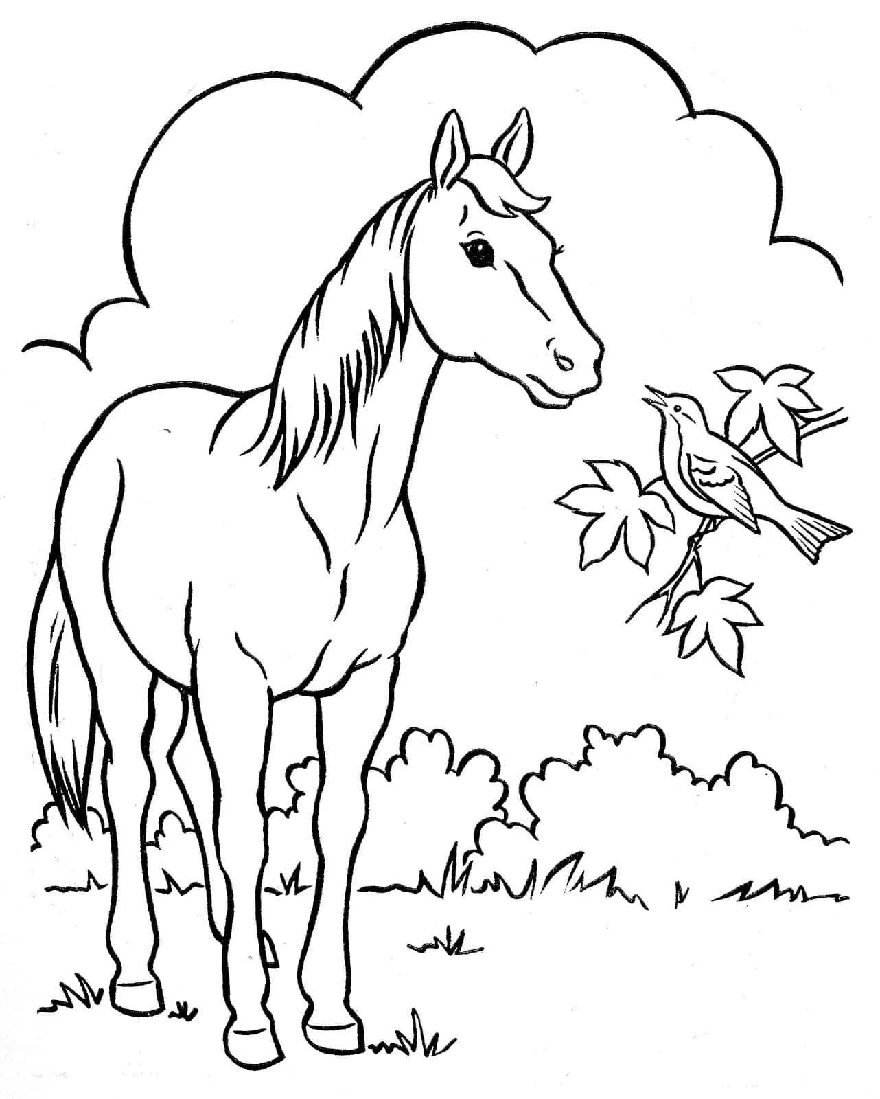 Dibujo gratuito Caballo #217700 de la coleccion Animales para imprimir