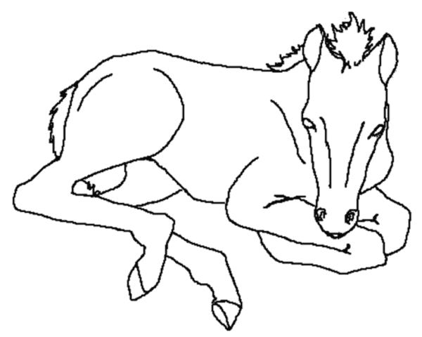 Dibujo para colorear: Caballo (Animales) #2193 - Dibujos para colorear
