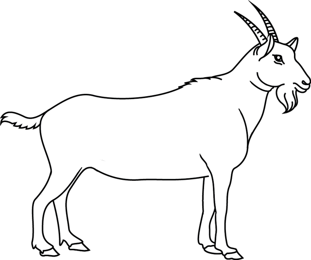 Dibujo para colorear: Cabra (Animales) #2365 - Dibujos para colorear