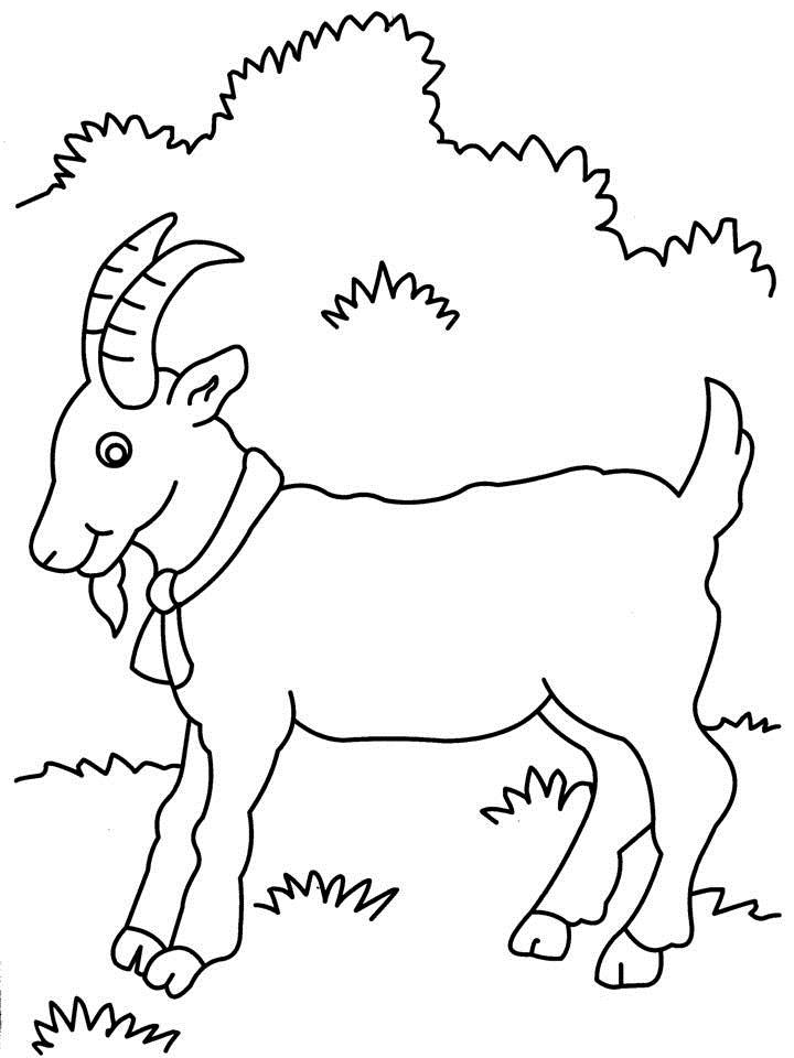 Dibujo para colorear: Cabra (Animales) #2403 - Dibujos para Colorear e Imprimir Gratis