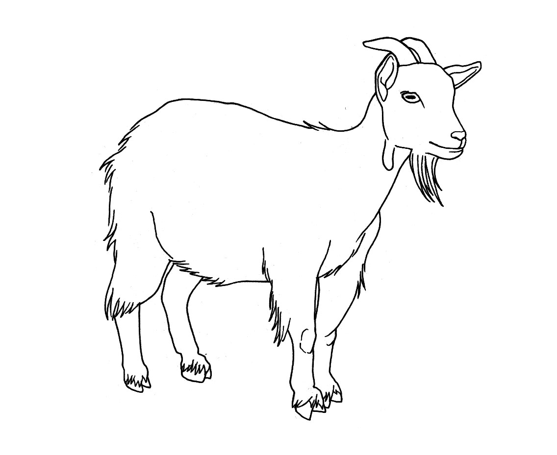 Dibujo para colorear: Cabra (Animales) #2406 - Dibujos para colorear