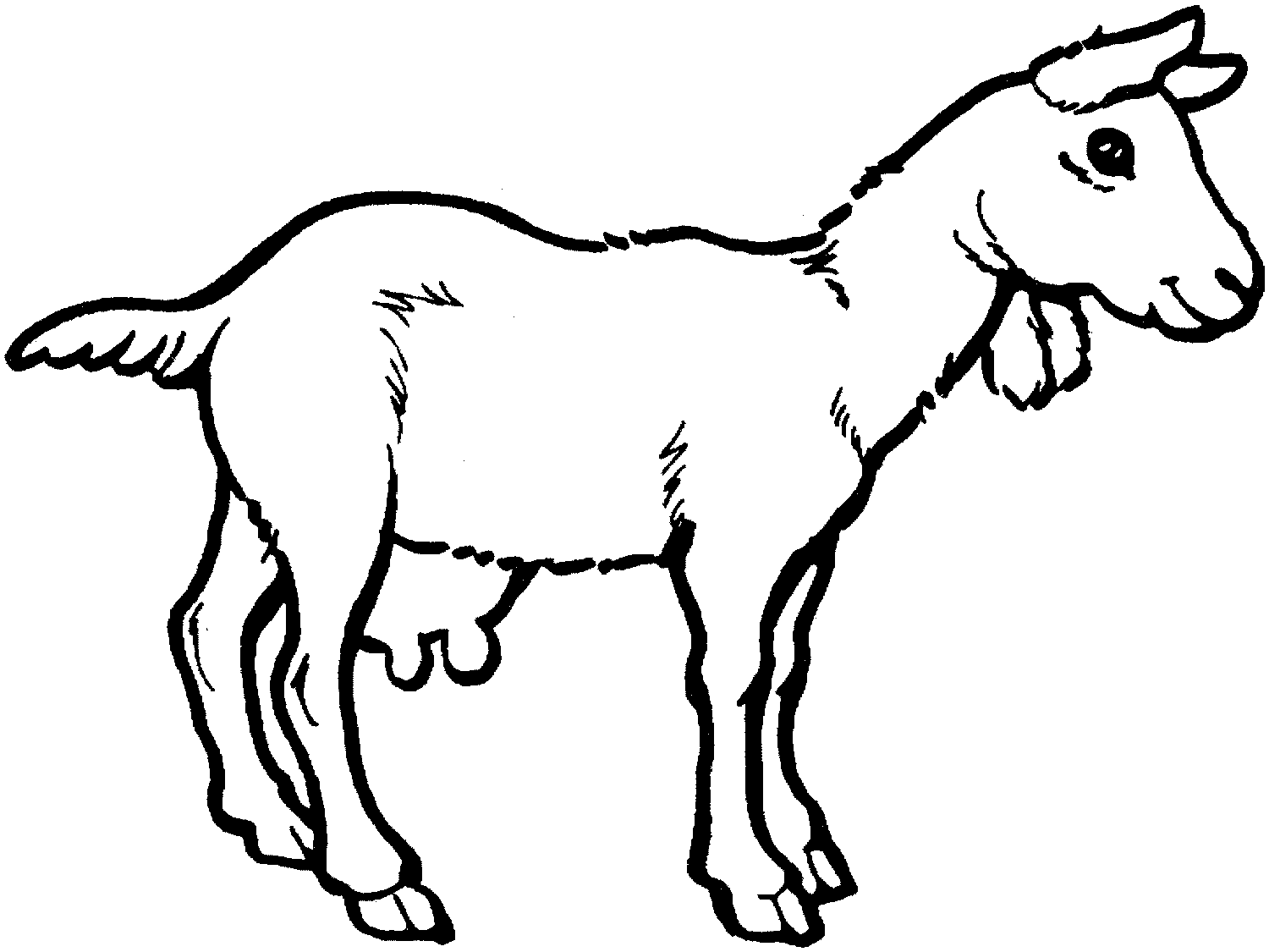 Dibujo para colorear: Cabra (Animales) #2408 - Dibujos para colorear