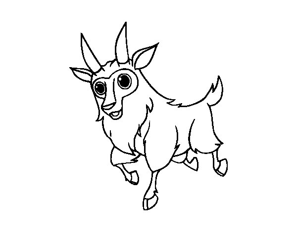 Dibujo para colorear: Cabra (Animales) #2419 - Dibujos para Colorear e Imprimir Gratis