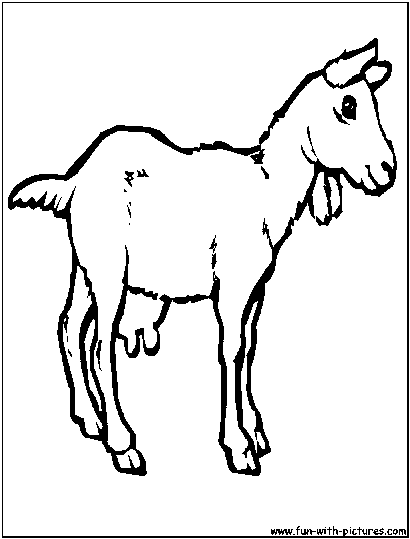 Dibujo para colorear: Cabra (Animales) #2422 - Dibujos para colorear