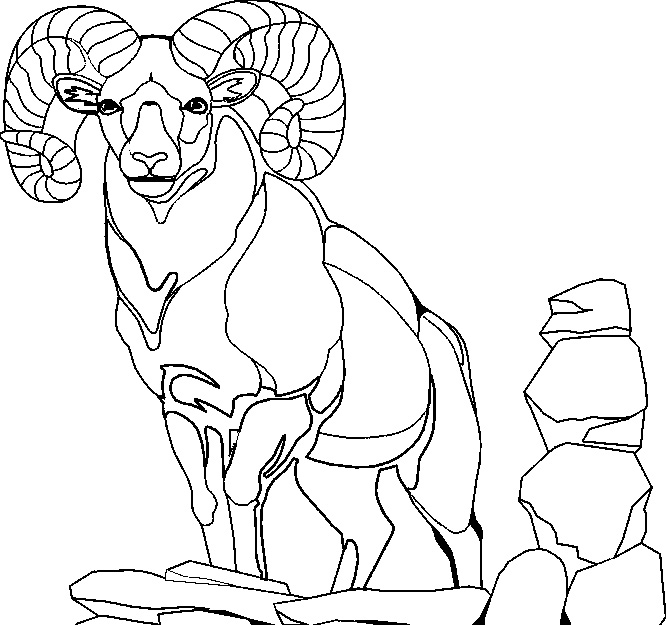 Dibujo para colorear: Cabra (Animales) #2448 - Dibujos para colorear