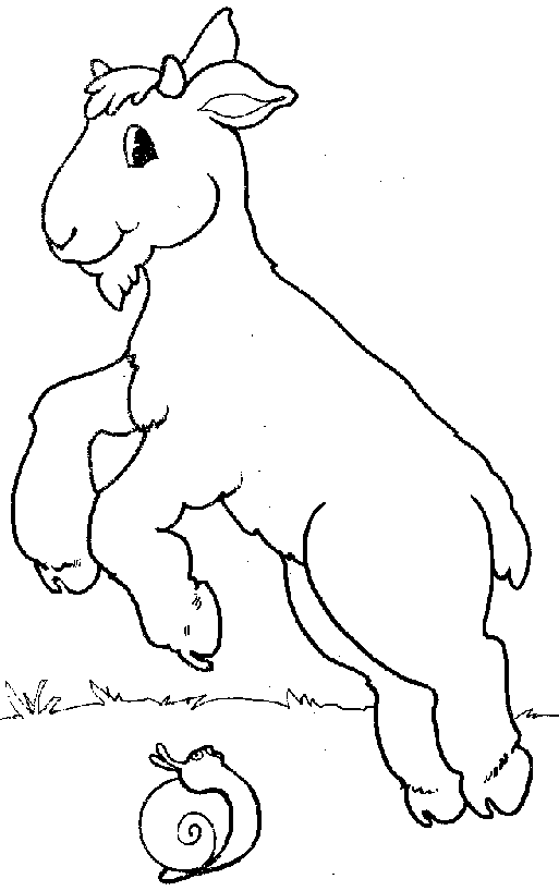 Dibujo para colorear: Cabra (Animales) #2498 - Dibujos para Colorear e Imprimir Gratis