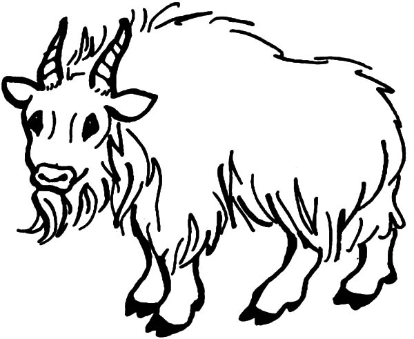 Dibujo para colorear: Cabra (Animales) #2515 - Dibujos para colorear