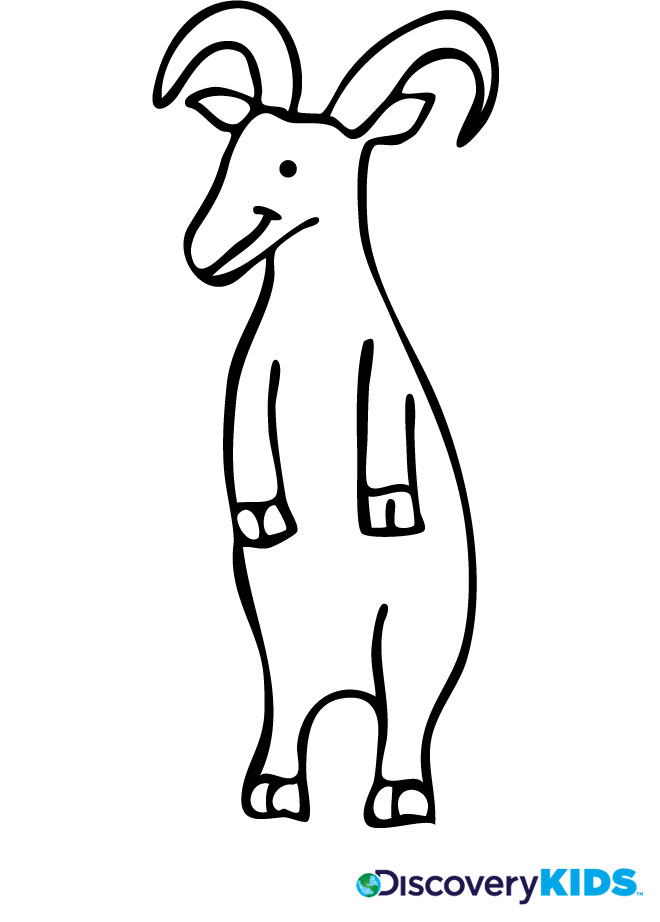 Dibujo para colorear: Cabra (Animales) #2519 - Dibujos para colorear