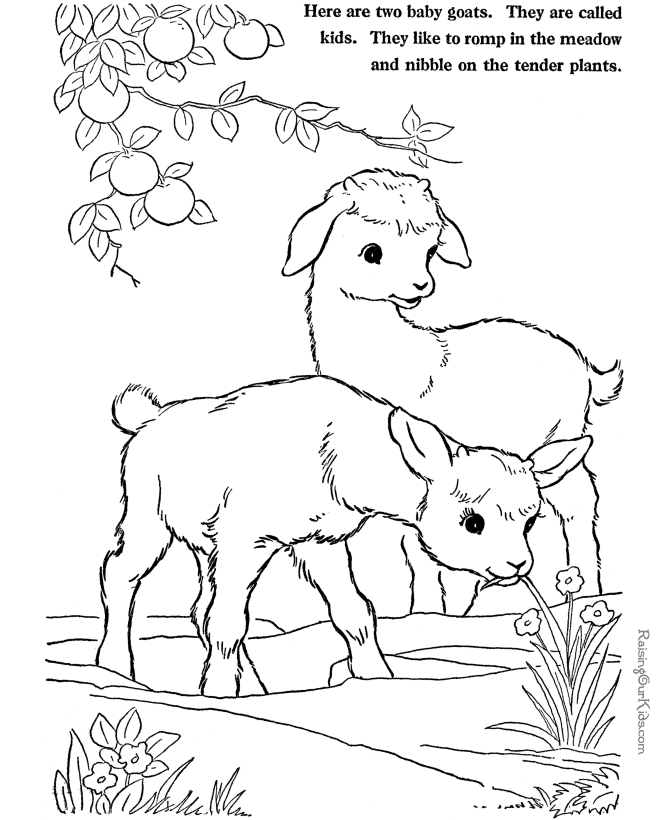 Dibujo para colorear: Cabra (Animales) #2520 - Dibujos para colorear