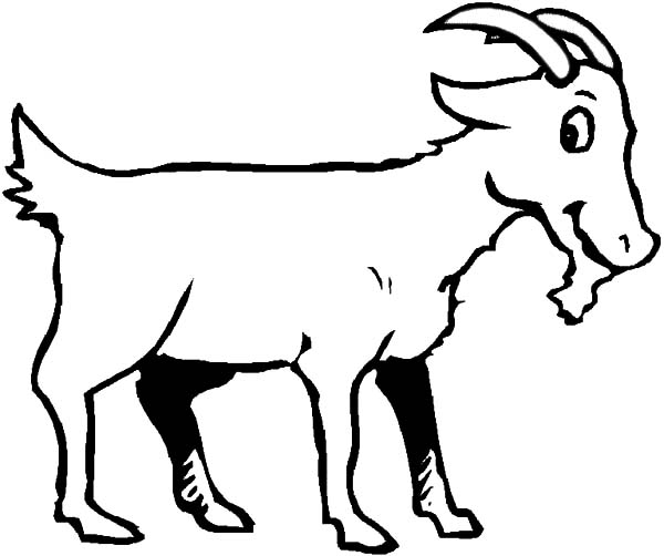 Dibujo para colorear: Cabra (Animales) #2522 - Dibujos para colorear