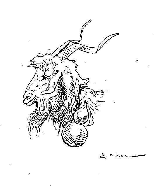 Dibujo para colorear: Cabra (Animales) #2539 - Dibujos para Colorear e Imprimir Gratis