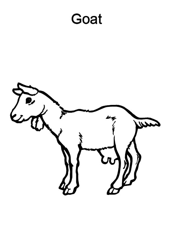 Dibujo para colorear: Cabra (Animales) #2541 - Dibujos para Colorear e Imprimir Gratis