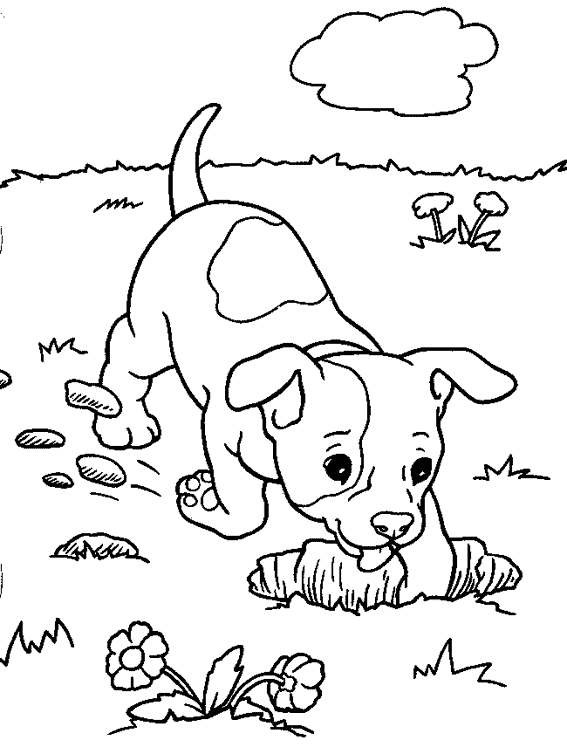 Dibujo para colorear: Cachorro (Animales) #2896 - Dibujos para colorear